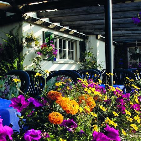 Hotel Garni Sonne Münsterlingen 외부 사진